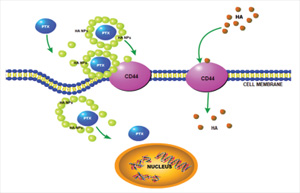 Nanomaterials  October-1 2022 - Browse Articles