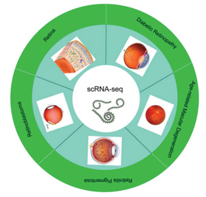 Nanomaterials, Free Full-Text